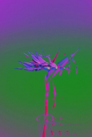200c