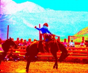2a