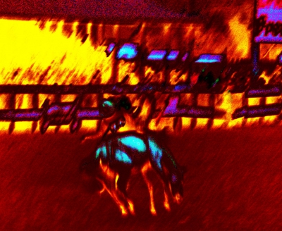5f