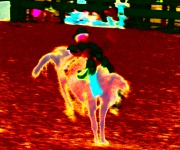 6j