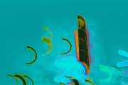 1i